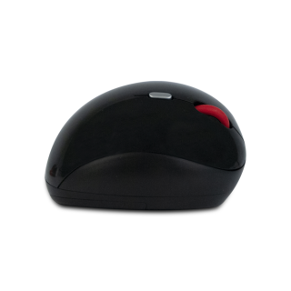 RATO NGS ERGONOMICO WIRELESS GLOSSY BLACK EVOERGO