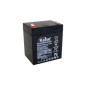 BATERIA KAISE HIGH RATE VRLA 6V 36W F2