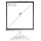 TELA PROJ.ELECTRICA 200X200 112" 1:1
