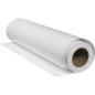 ROLO HP C6019B COATED PAPER 24"