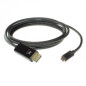 CABO CONVERSOR EWENT USB-C PARA DP M 4K/60HZ 2M