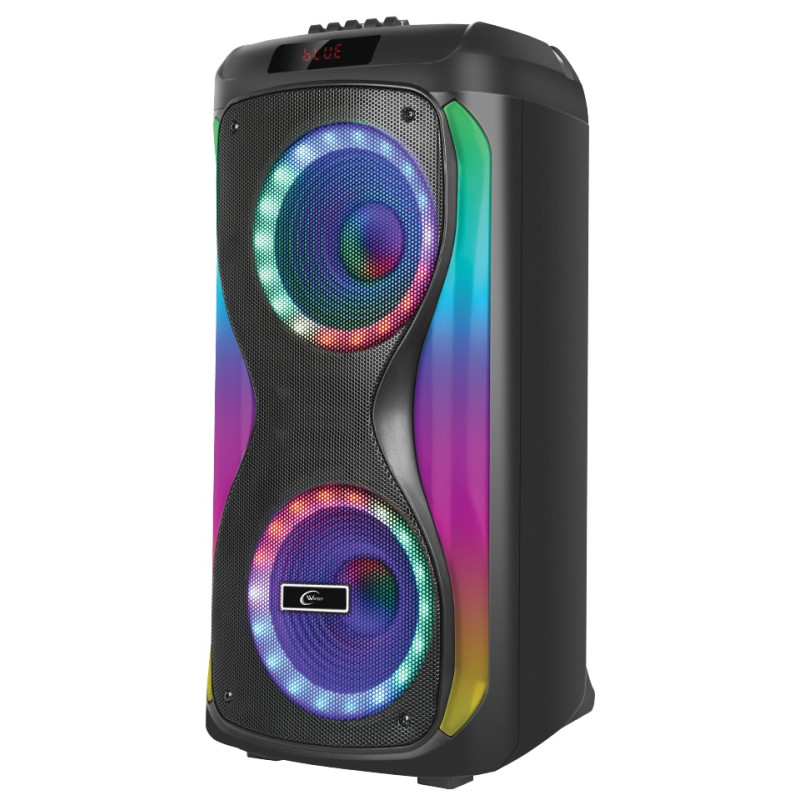 PARTY SPEAKER WINTECH GINGA POWER